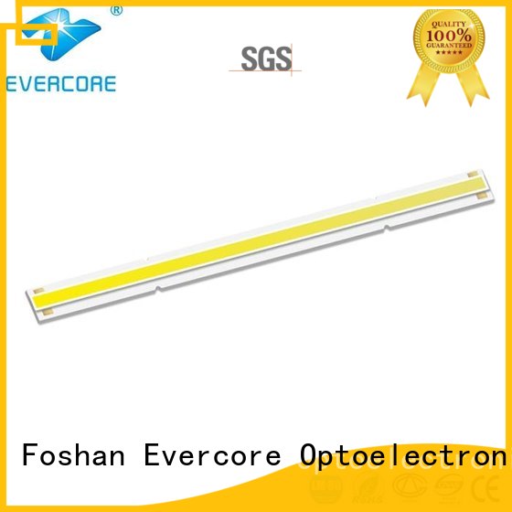 Quality Evercore Brand High lumens Cob Led Module