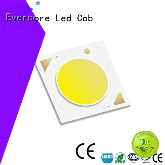 led Evercore Cob Led Module