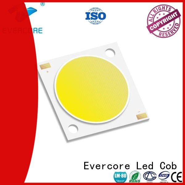 Evercore green Cob Led manufacturer for lighting