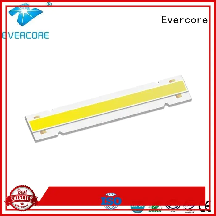 Evercore linear Cob Led manufacturer for lighting