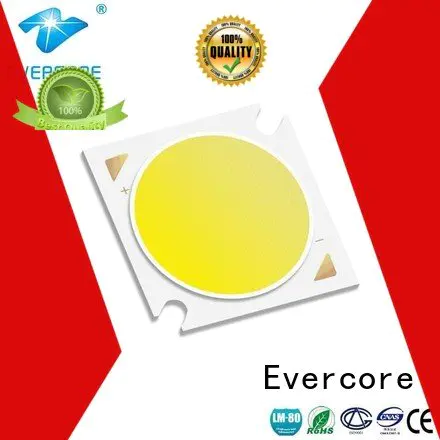 Quality Evercore Brand 10W Cob Led Module