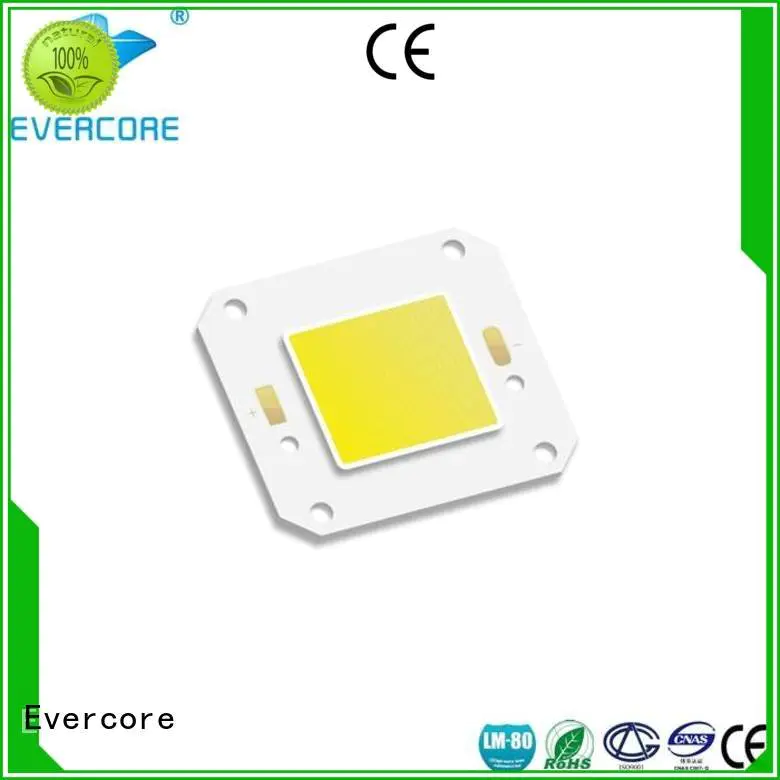 high lighting efficiency modules Evercore Brand Cold light