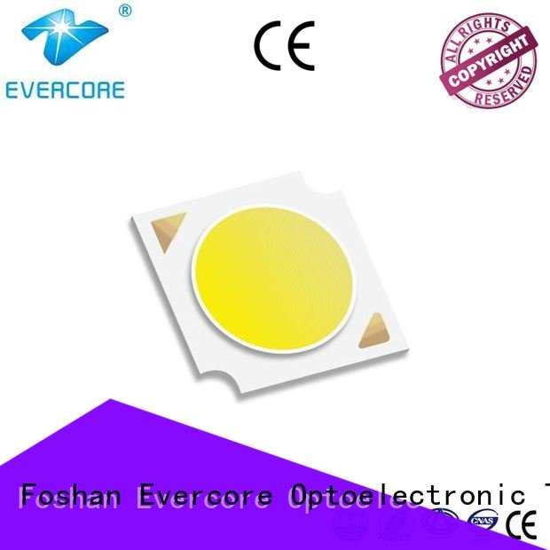Evercore Brand modules High CRI 36W Cob Led Module Universal