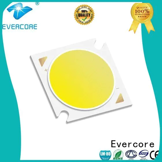 Evercore Brand color Universal commercial  lighting cob leds