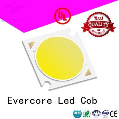 commercial  lighting cob leds High CRI Certified Evercore Brand