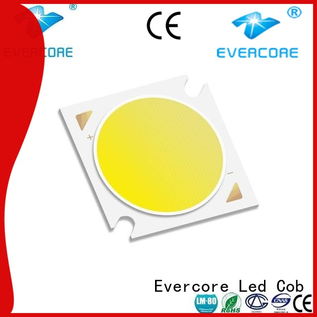 Evercore front rgb cob led factory for sale