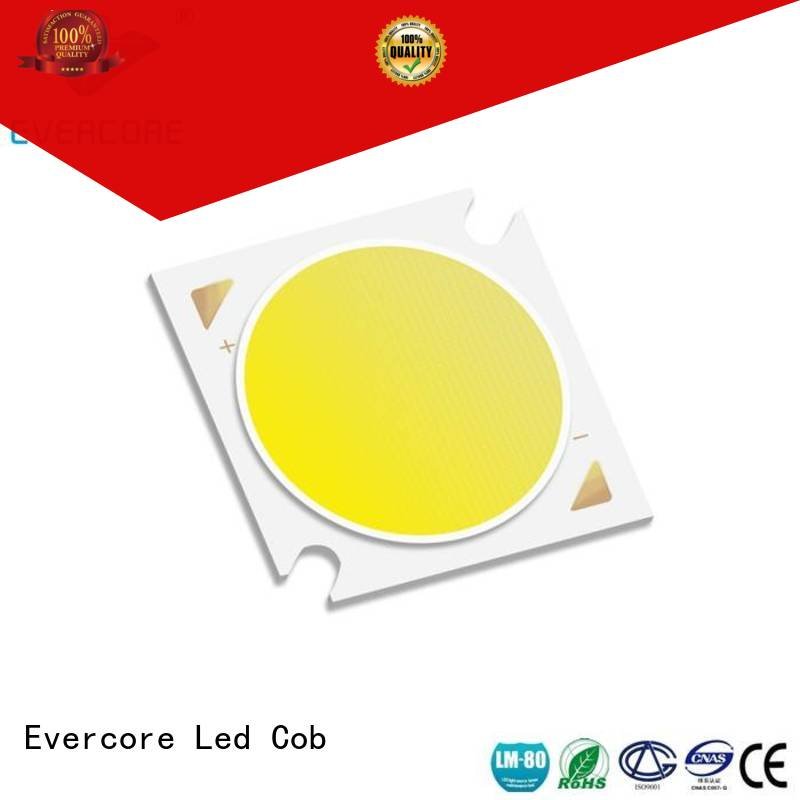 Evercore Cob Led Module modules 36W cob Certified