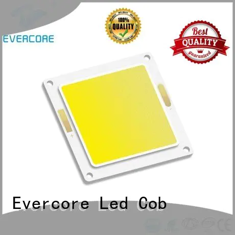 Hot high lighting efficiency cob Cold light modules Evercore