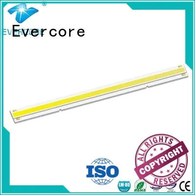 Evercore h19 Cob Led factory for sale