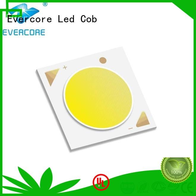 Quality commercial  lighting cob leds Evercore Brand modules Cob Led Module