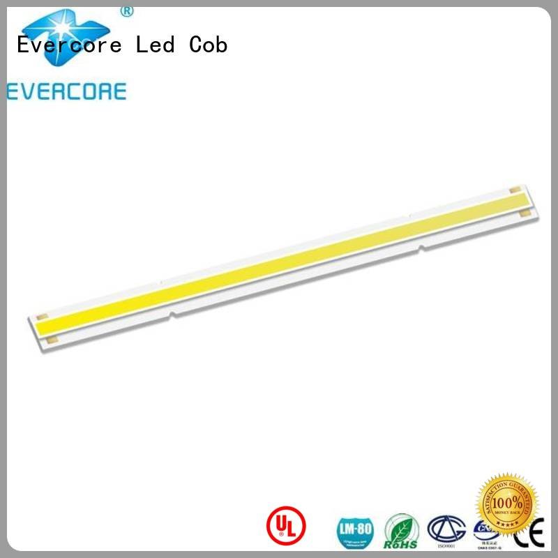 Evercore Brand linear High lumens commercial  lighting cob leds LM-80 color