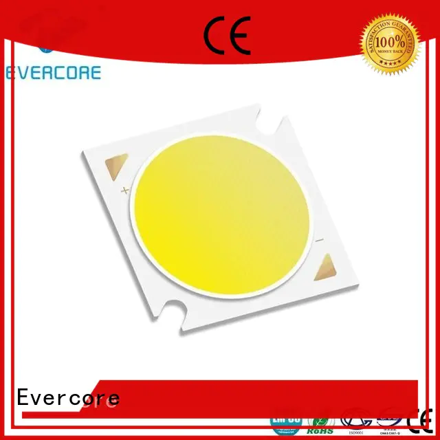 green Led Cob Chip small factory for sale