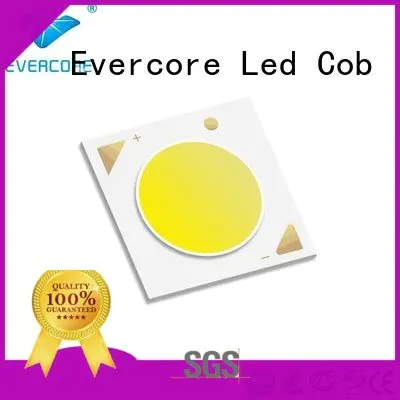 color linear Cob Led Module LM-80 Evercore