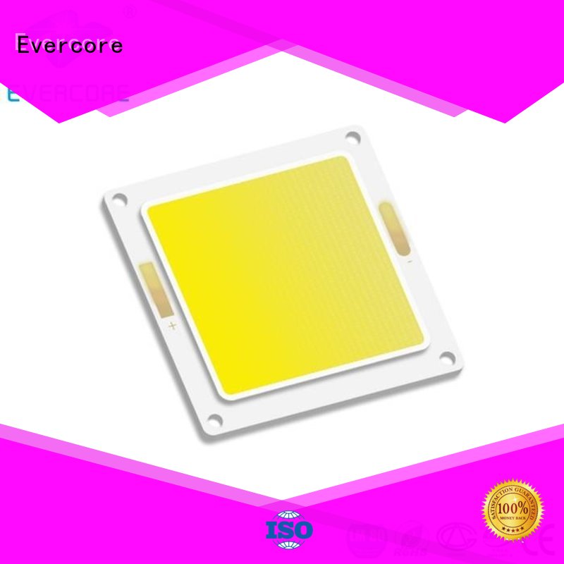 Evercore Brand modules High reliability custom high lighting efficiency