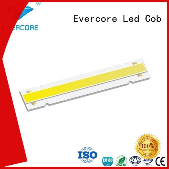 downlight led cob led cob High CRI Evercore Brand