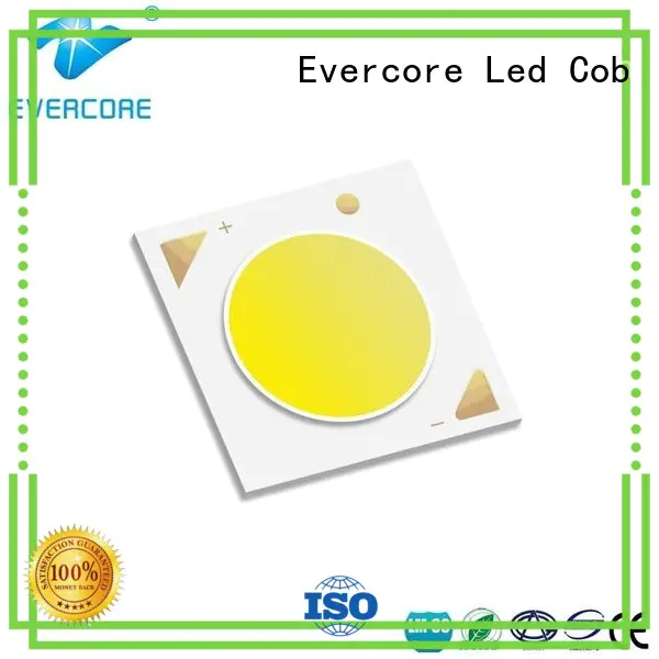 Evercore 1375 Led Cob Chip factory for distribution