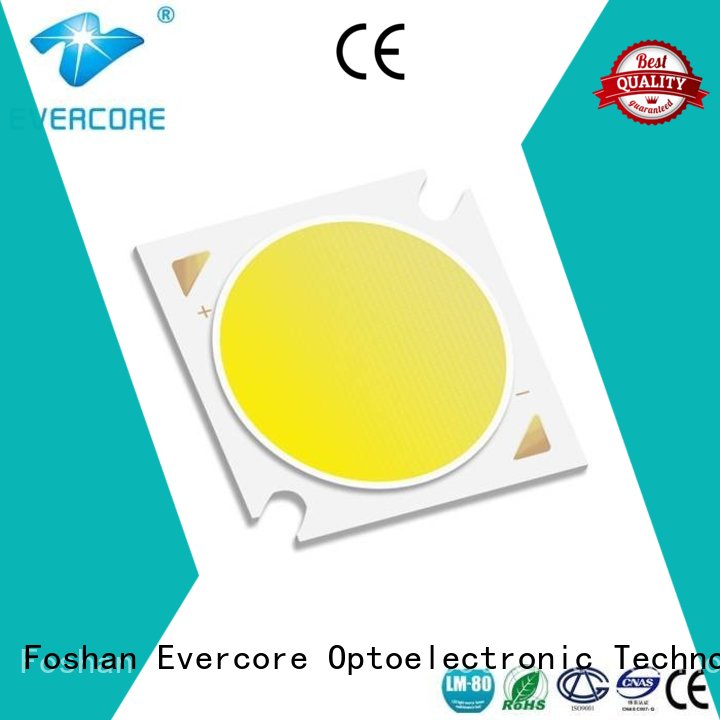 Wholesale color rgb cob led Evercore Brand