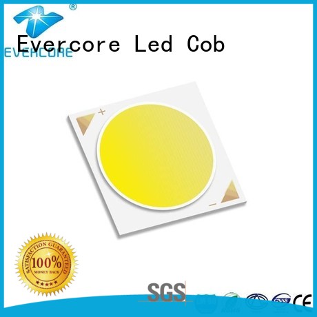Evercore green Led Cob Chip manufacturer for distribution