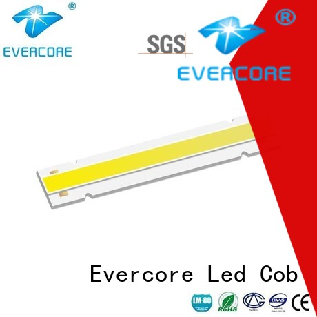 Evercore Brand color cob commercial  lighting cob leds High lumens supplier