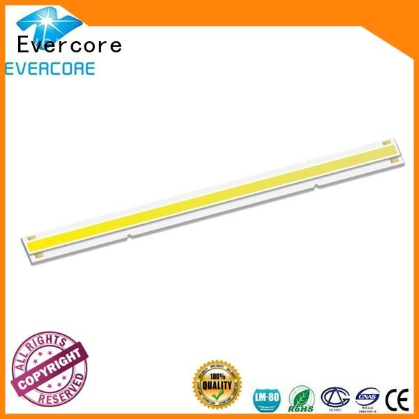 modules Universal led commercial  lighting cob leds Evercore