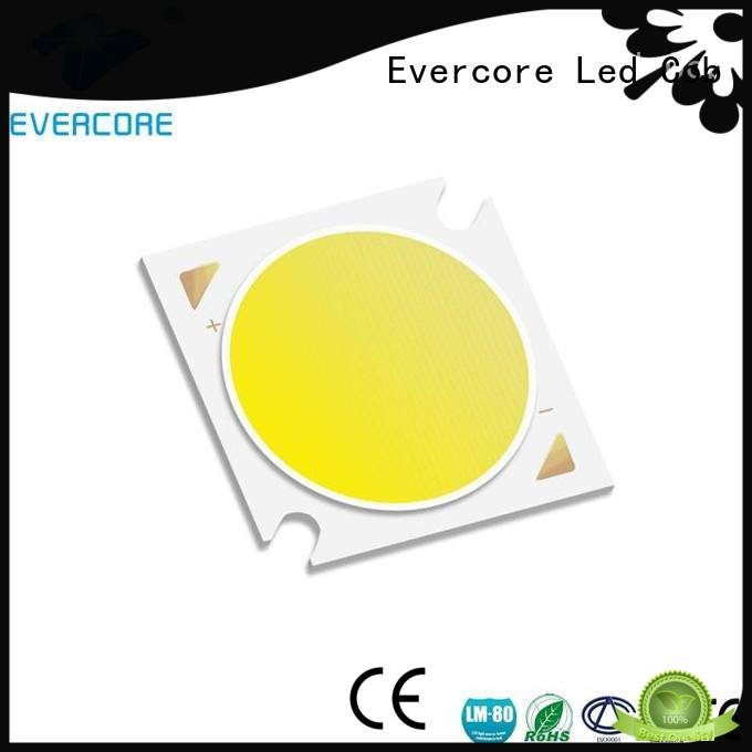 Custom Cob Led Module LM-80 Certified color Evercore