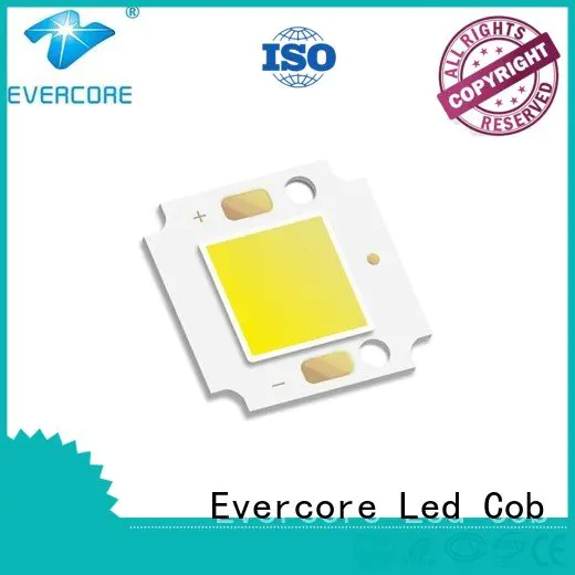 high lighting efficiency led modules OEM Cold light Evercore