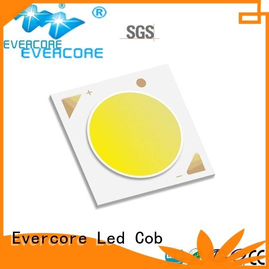 cob 10W High lumens Evercore commercial  lighting cob leds