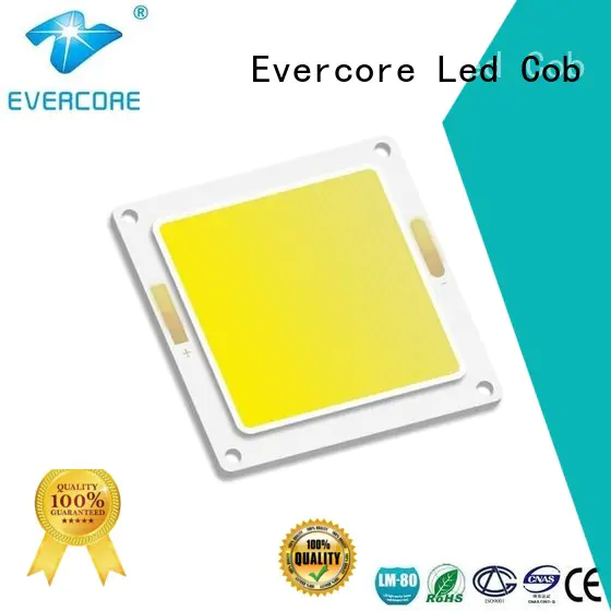 high lighting efficiency modules led Cold light cob Evercore Brand