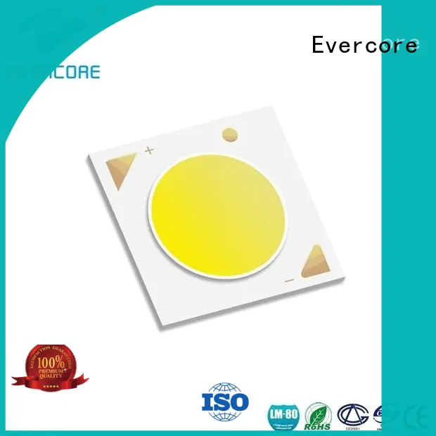 Evercore cheap Cob Led manufacturer for distribution