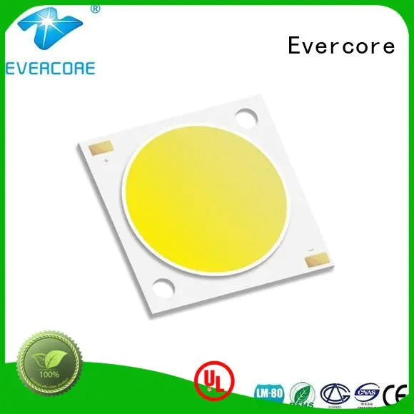 Evercore Brand led commercial  lighting cob leds High CRI supplier