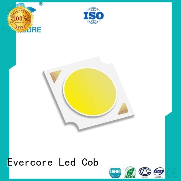 Evercore cheap Cob Led factory for lighting