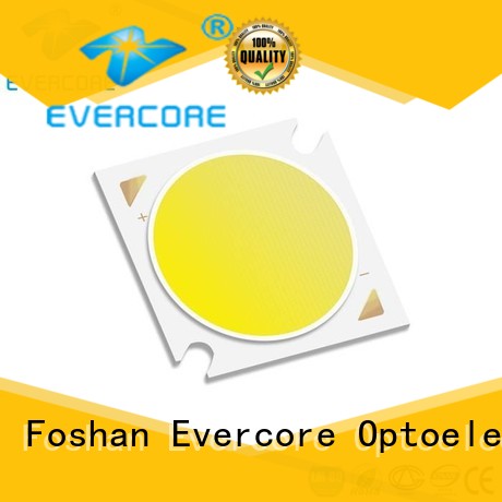 Evercore cheap Led Cob Chip factory for sale