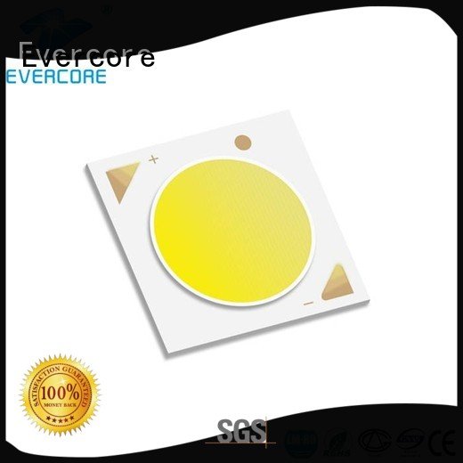 commercial  lighting cob leds color led Cob Led Module Evercore Brand