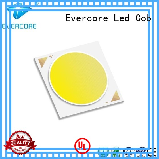 color Universal certified cob rgb cob led Evercore