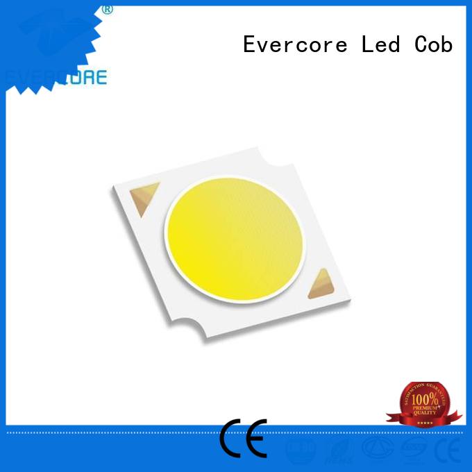 Certified LM-80 Cob Led Module High lumens Evercore Brand