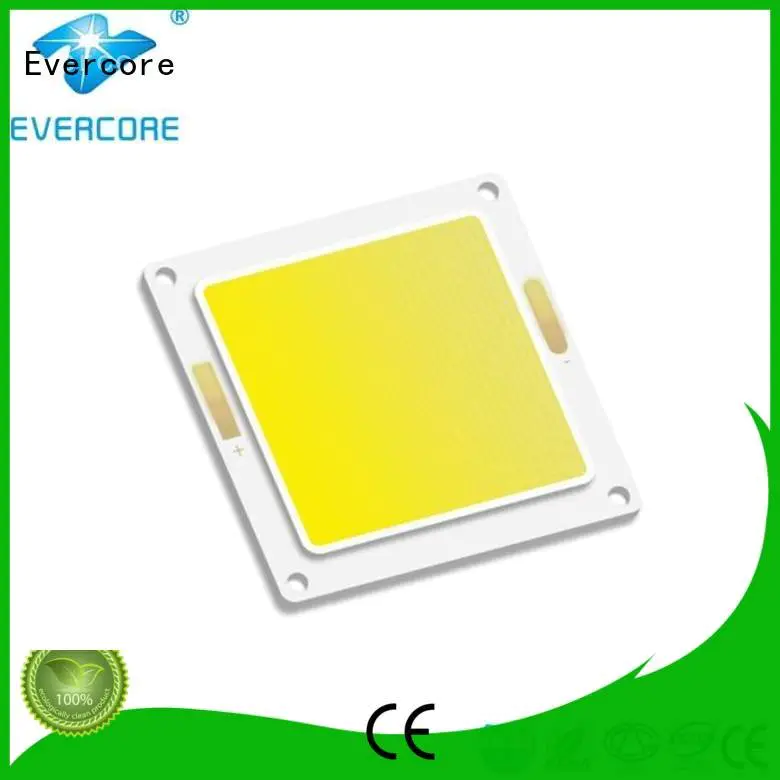 Evercore Brand cob high lighting efficiency modules led