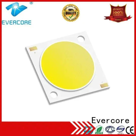 Evercore commercial  lighting cob leds linear LM-80 color
