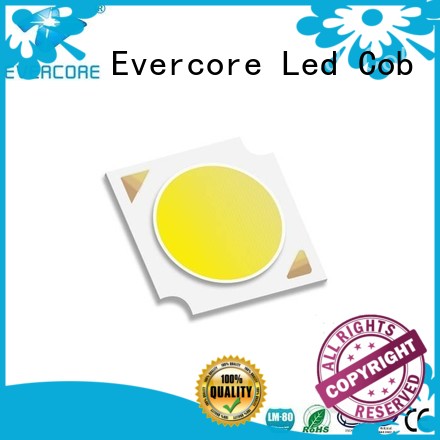 Evercore ）he150 Cob Led factory for sale