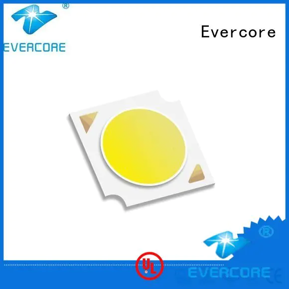 led
 cob
 Evercore Brand Universal Certified modules Cob Led Module