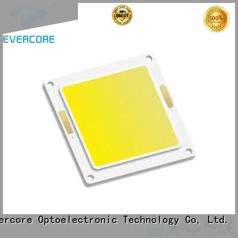 modules cob led led Evercore high lighting efficiency