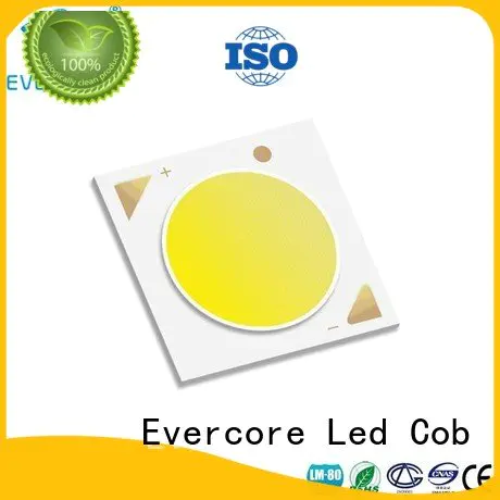 Evercore Brand color Universal 10W commercial  lighting cob leds