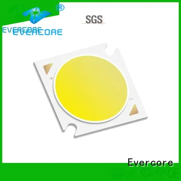 Evercore cob color linear commercial  lighting cob leds High CRI