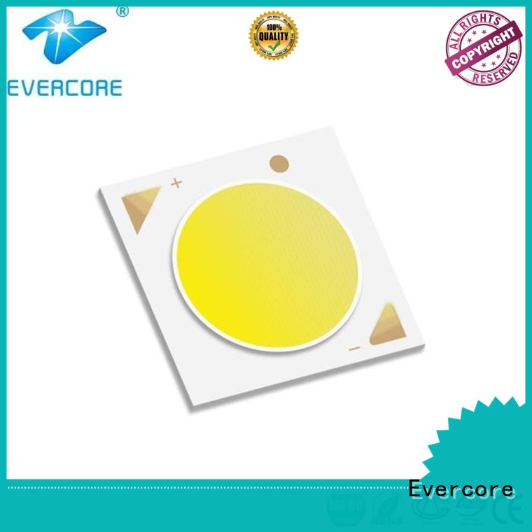 Evercore Low cost rgb cob led supplier for distribution