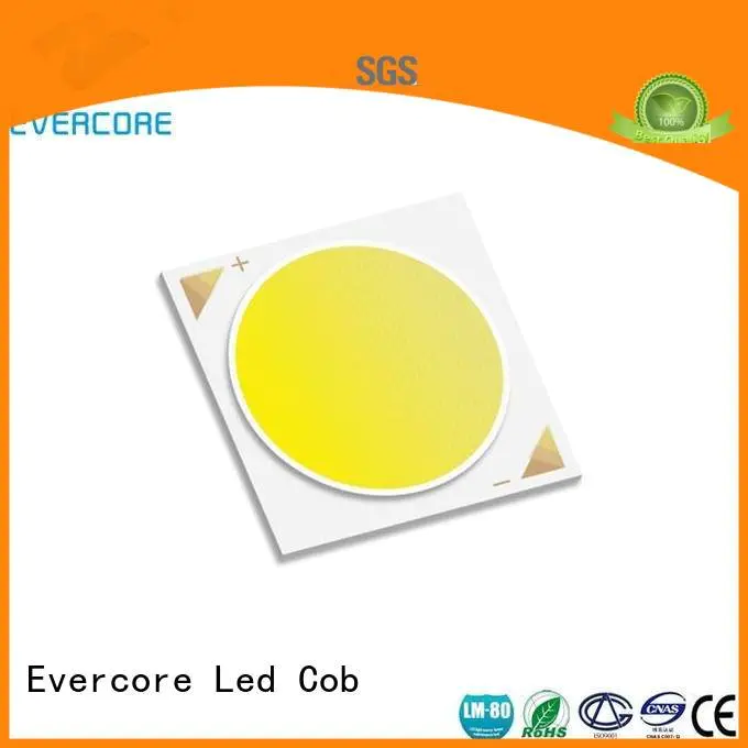 Evercore Brand 10W High CRI Certified Cob Led Module