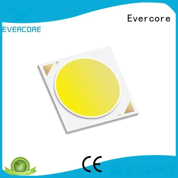 color modules 36W commercial  lighting cob leds Evercore