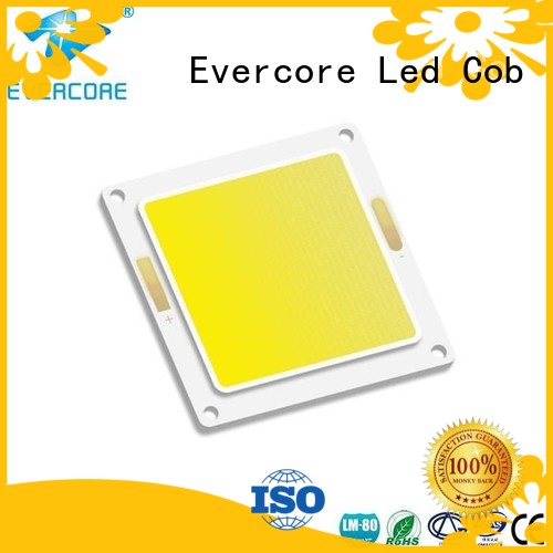 20w80w outside downlights led exporter for distribution Evercore