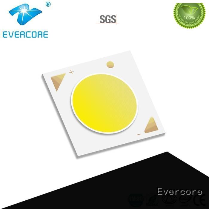 cob linear Cob Led Module led Evercore