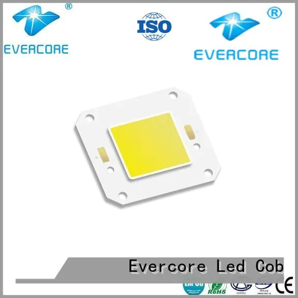 high lighting efficiency modules Evercore Brand