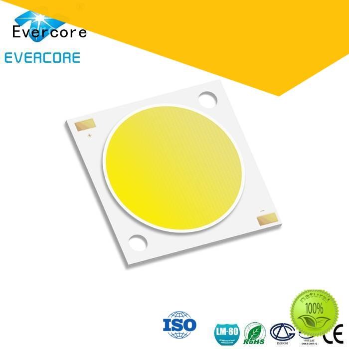 cob LM-80 Universal Evercore Cob Led Module