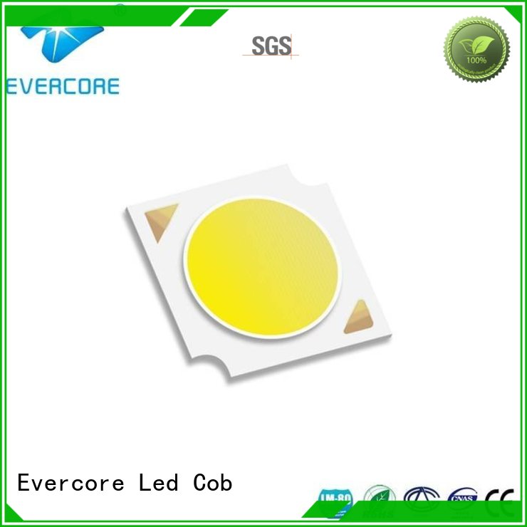 Evercore Brand linear modules led LM-80 Cob Led Module